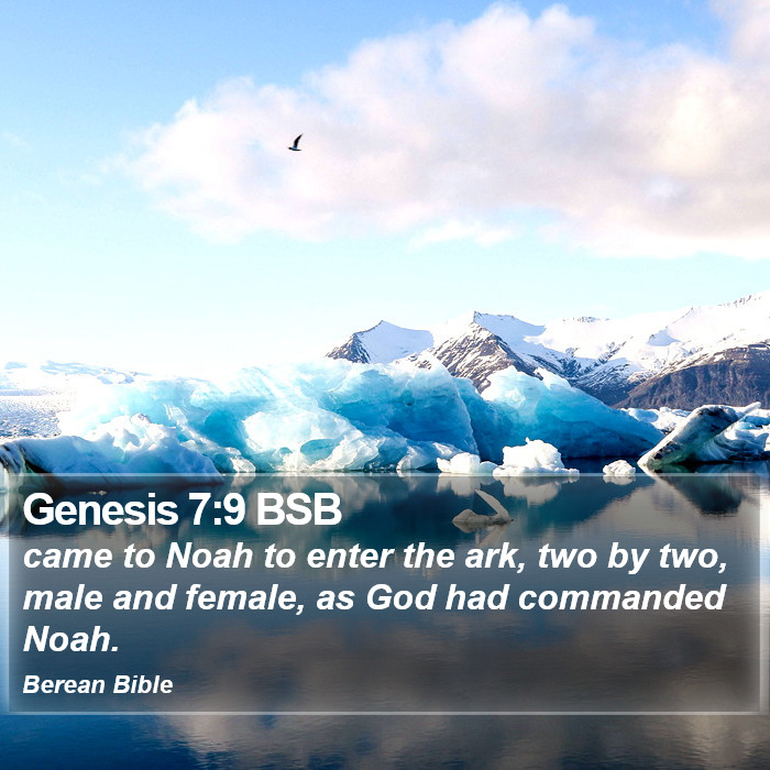 Genesis 7:9 BSB Bible Study