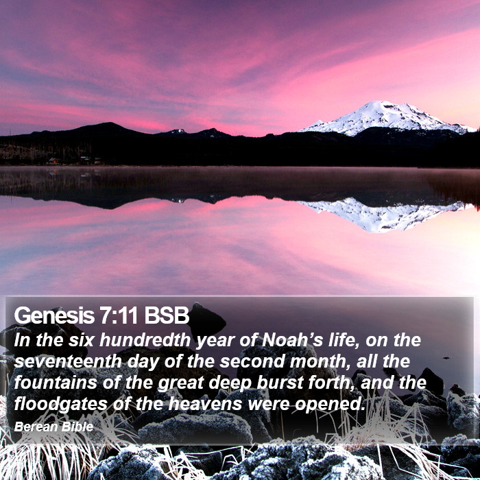 Genesis 7:11 BSB Bible Study