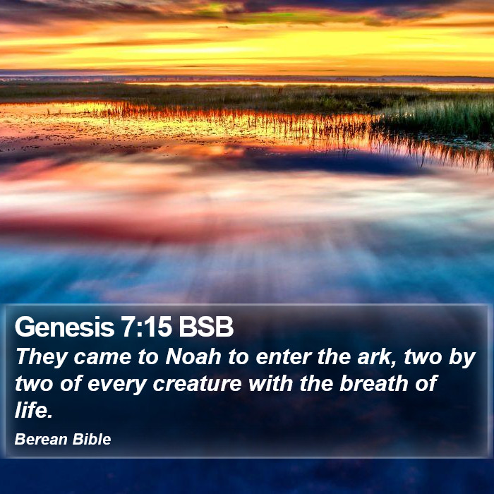 Genesis 7:15 BSB Bible Study