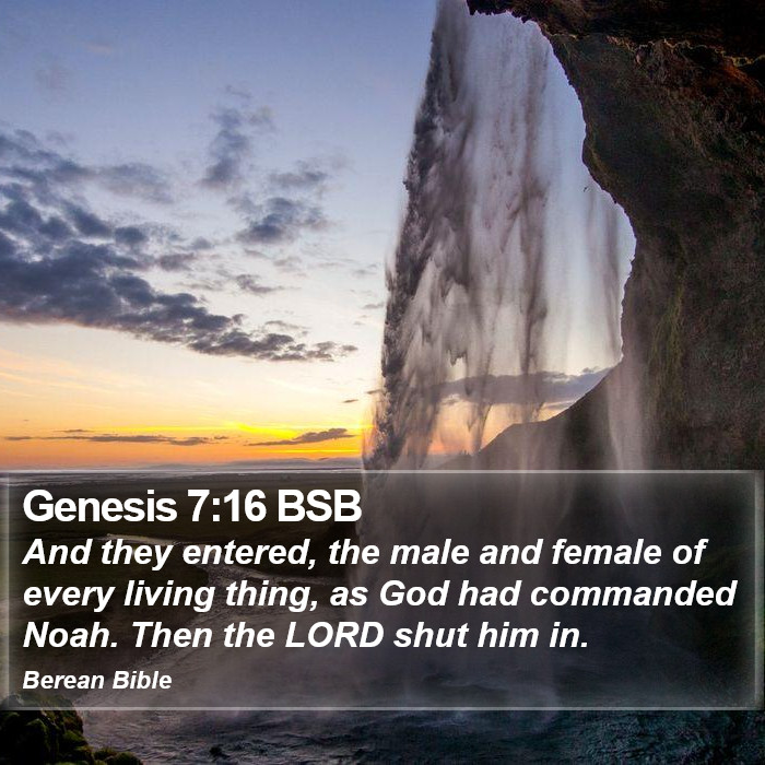 Genesis 7:16 BSB Bible Study