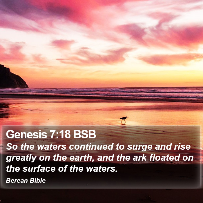 Genesis 7:18 BSB Bible Study