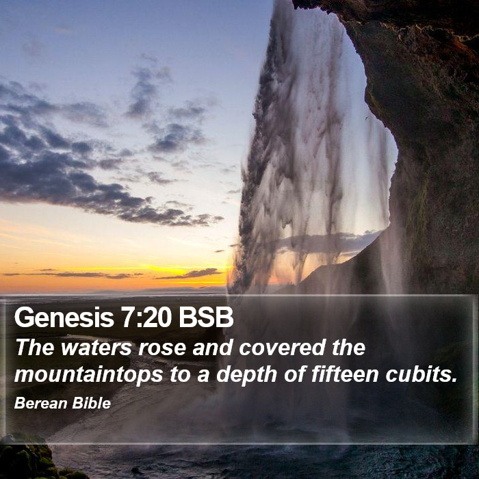 Genesis 7:20 BSB Bible Study