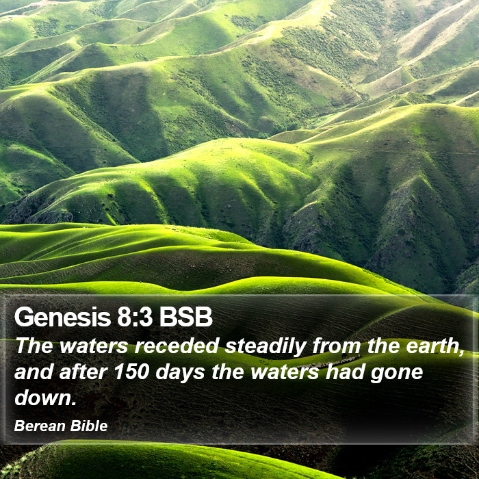 Genesis 8:3 BSB Bible Study