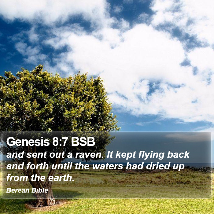 Genesis 8:7 BSB Bible Study