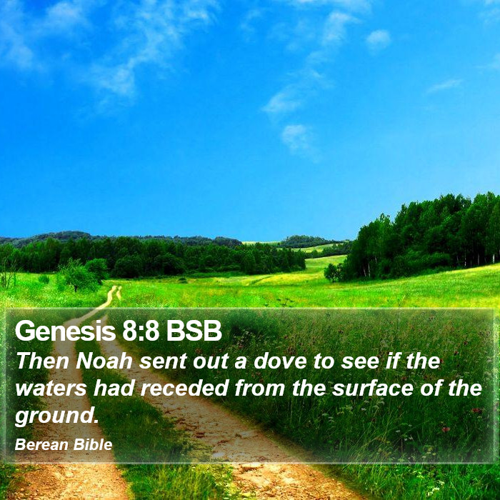 Genesis 8:8 BSB Bible Study