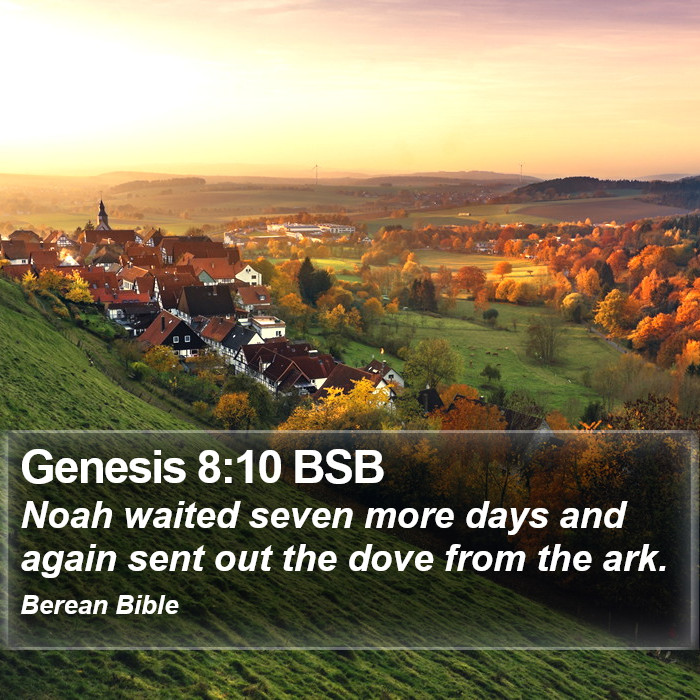 Genesis 8:10 BSB Bible Study