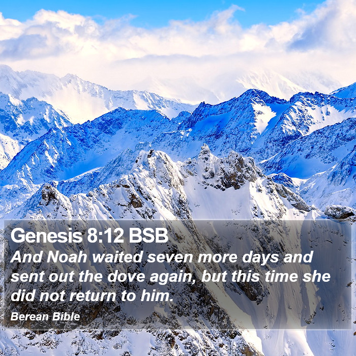 Genesis 8:12 BSB Bible Study