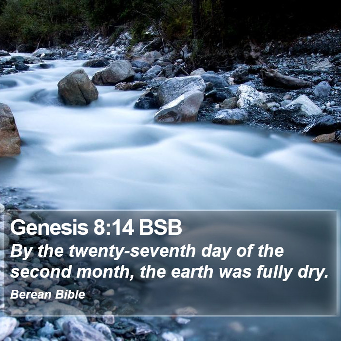 Genesis 8:14 BSB Bible Study