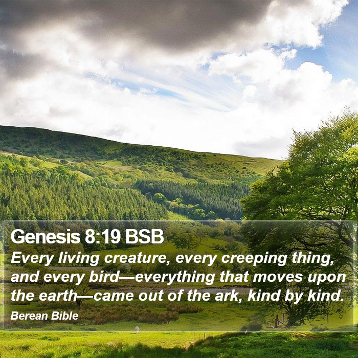 Genesis 8:19 BSB Bible Study