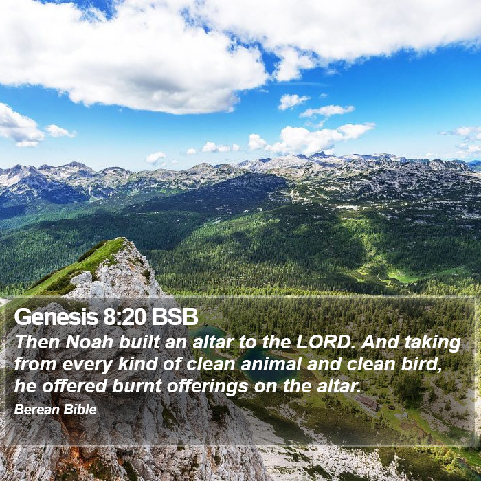 Genesis 8:20 BSB Bible Study