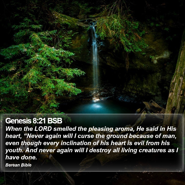 Genesis 8:21 BSB Bible Study