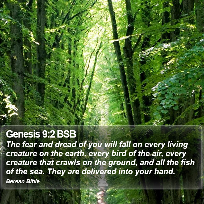 Genesis 9:2 BSB Bible Study