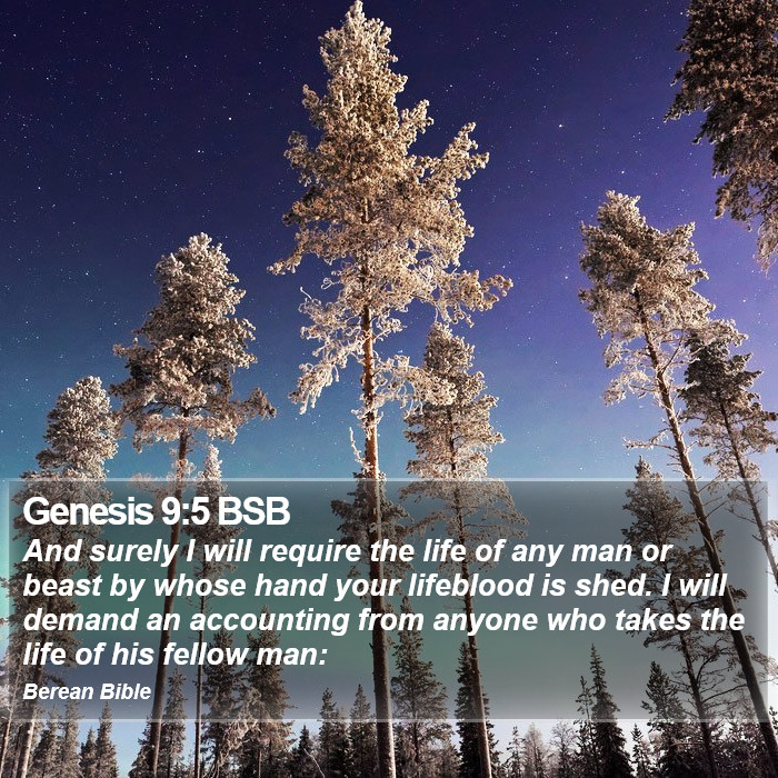 Genesis 9:5 BSB Bible Study