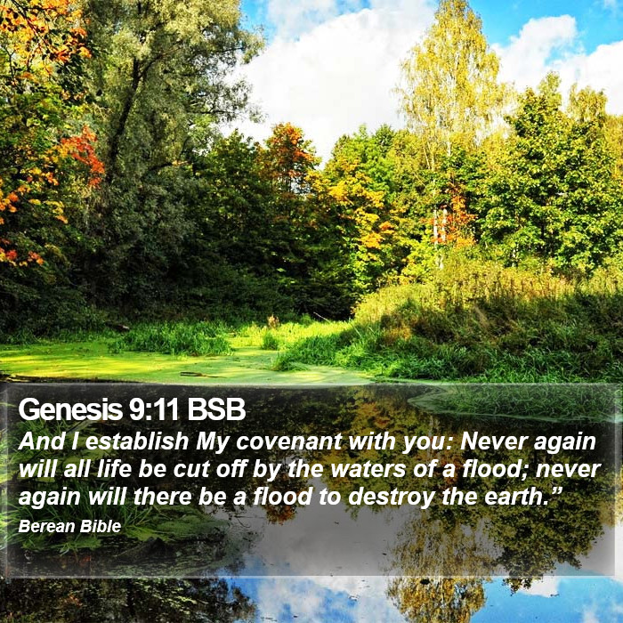 Genesis 9:11 BSB Bible Study