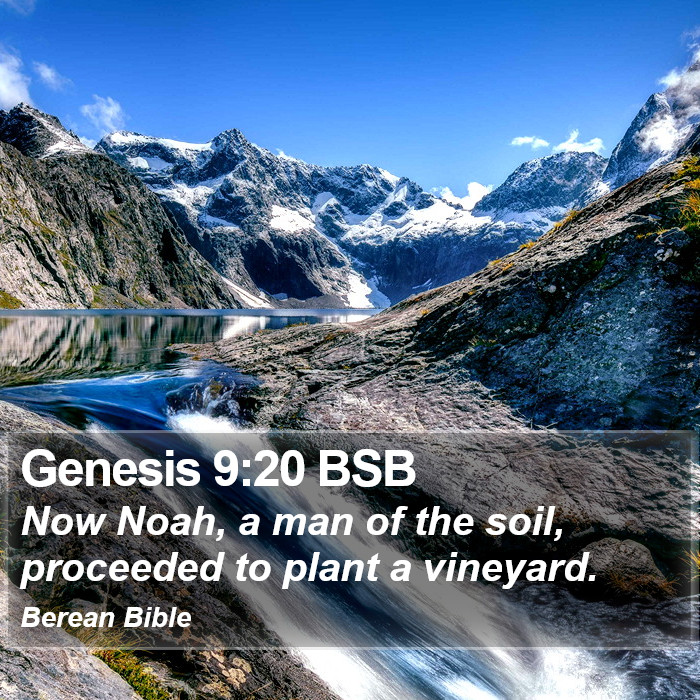 Genesis 9:20 BSB Bible Study