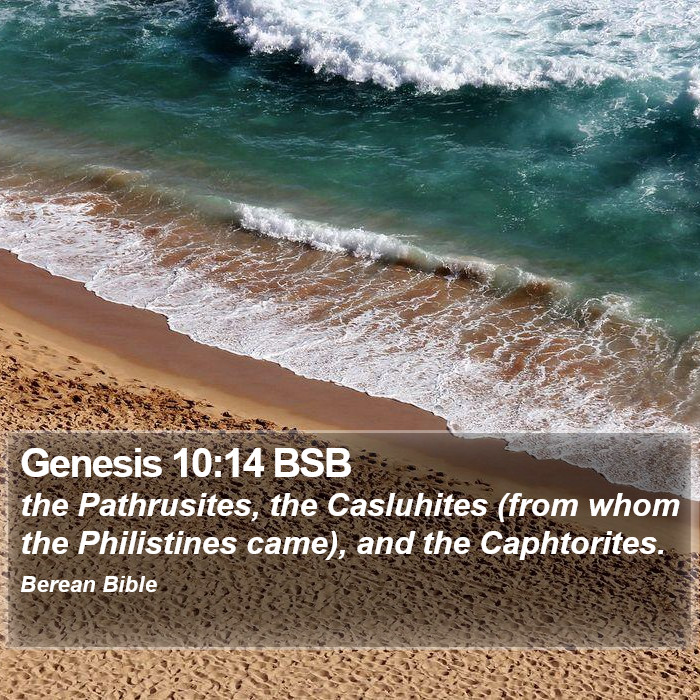 Genesis 10:14 BSB Bible Study