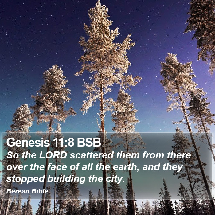 Genesis 11:8 BSB Bible Study