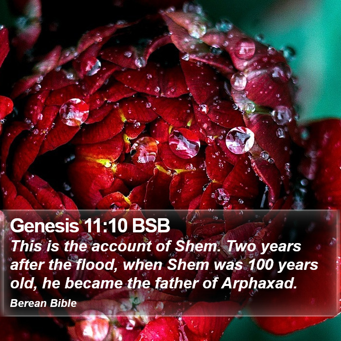 Genesis 11:10 BSB Bible Study