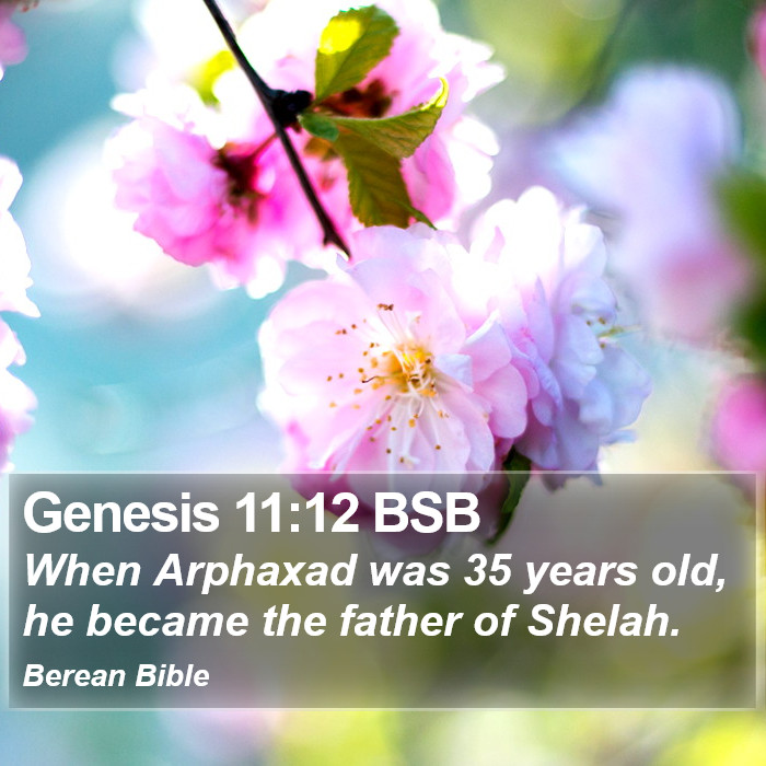 Genesis 11:12 BSB Bible Study