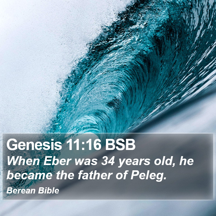 Genesis 11:16 BSB Bible Study