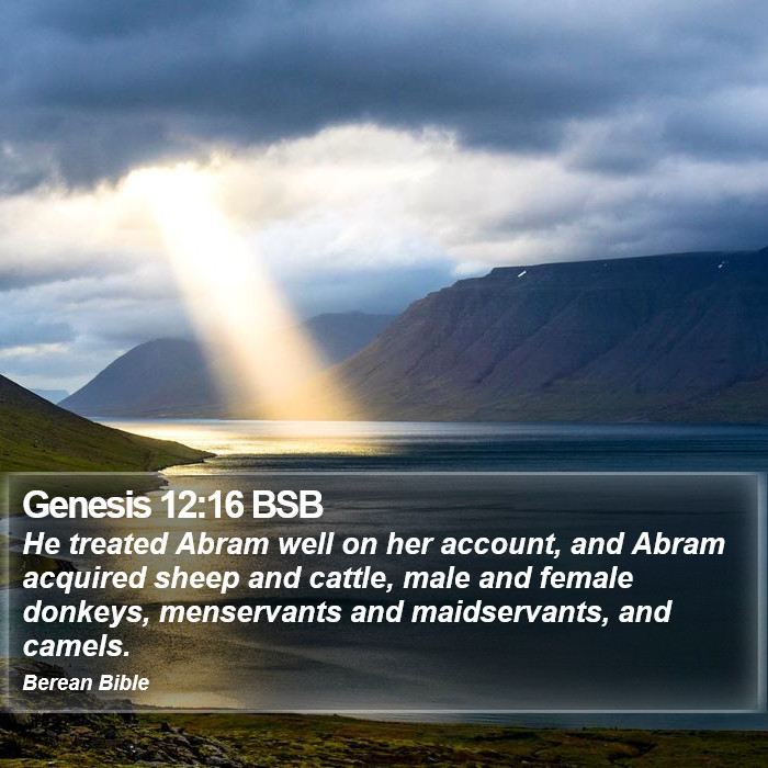 Genesis 12:16 BSB Bible Study