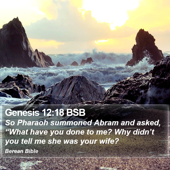 Genesis 12:18 BSB Bible Study