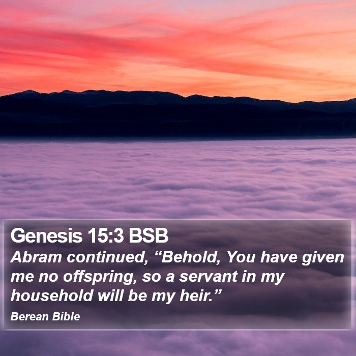 Genesis 15:3 BSB Bible Study