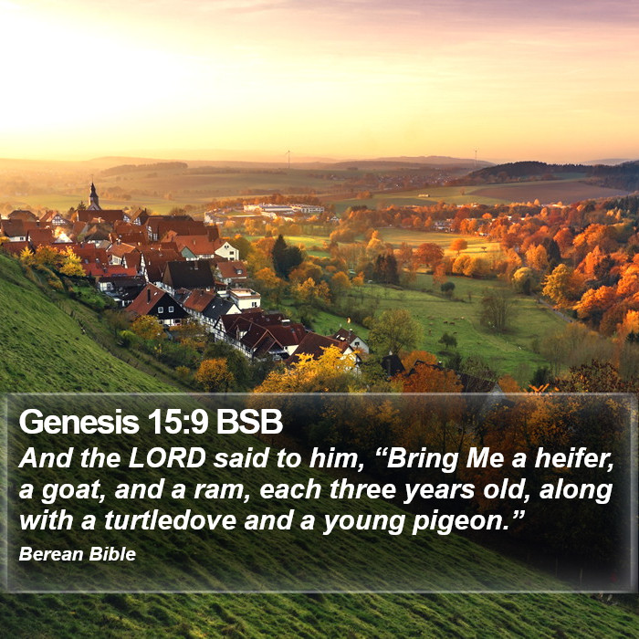 Genesis 15:9 BSB Bible Study