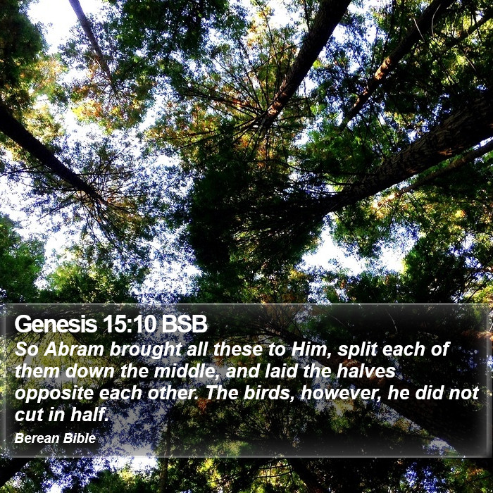 Genesis 15:10 BSB Bible Study