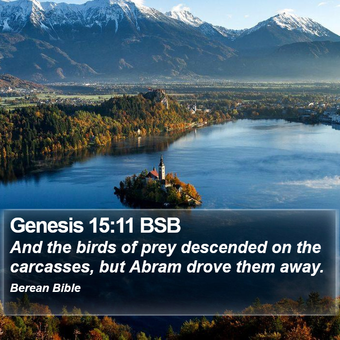 Genesis 15:11 BSB Bible Study