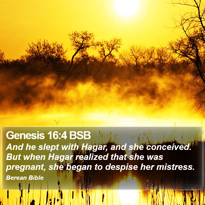 Genesis 16:4 BSB Bible Study