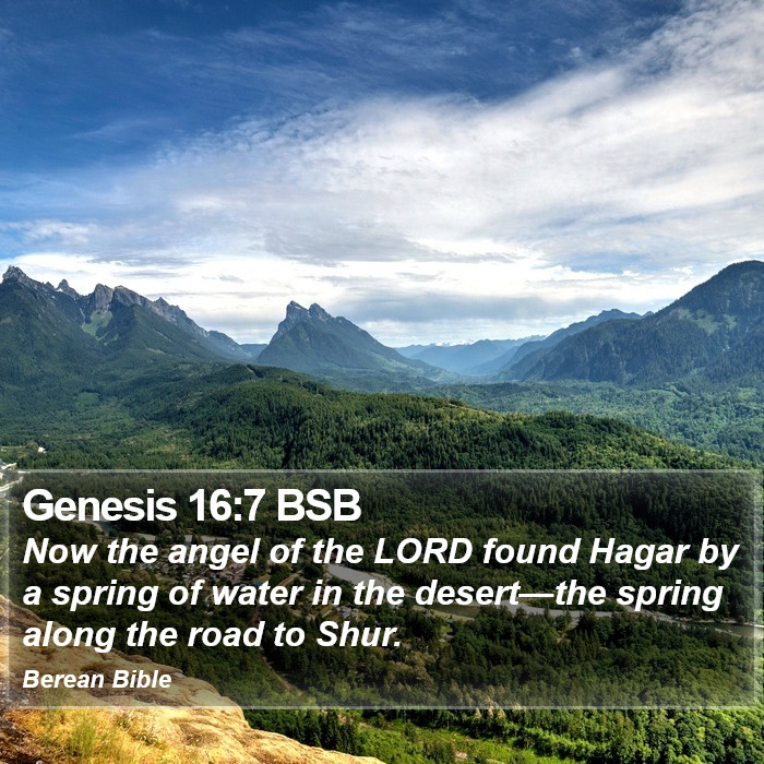 Genesis 16:7 BSB Bible Study