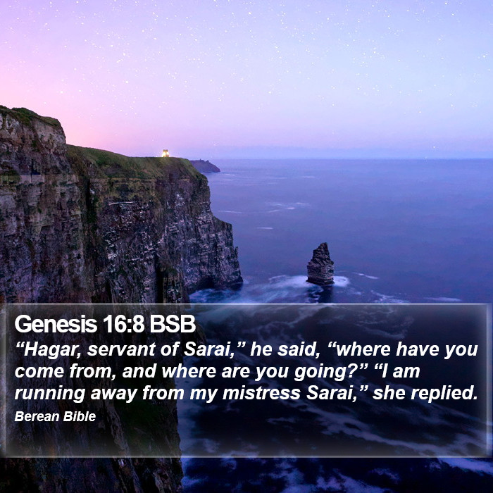 Genesis 16:8 BSB Bible Study