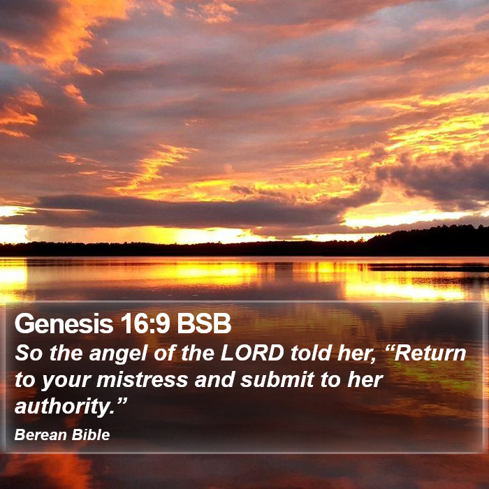 Genesis 16:9 BSB Bible Study