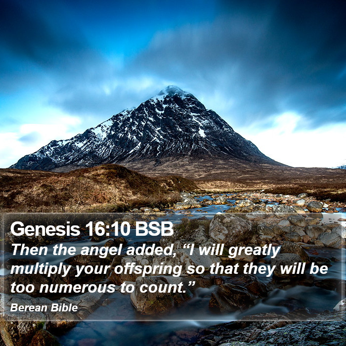 Genesis 16:10 BSB Bible Study