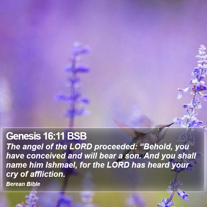 Genesis 16:11 BSB Bible Study