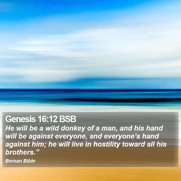 Genesis 16:12 BSB Bible Study