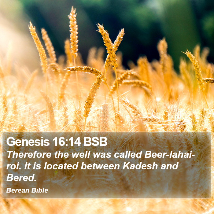 Genesis 16:14 BSB Bible Study