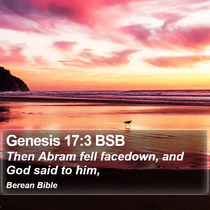 Genesis 17:3 BSB Bible Study