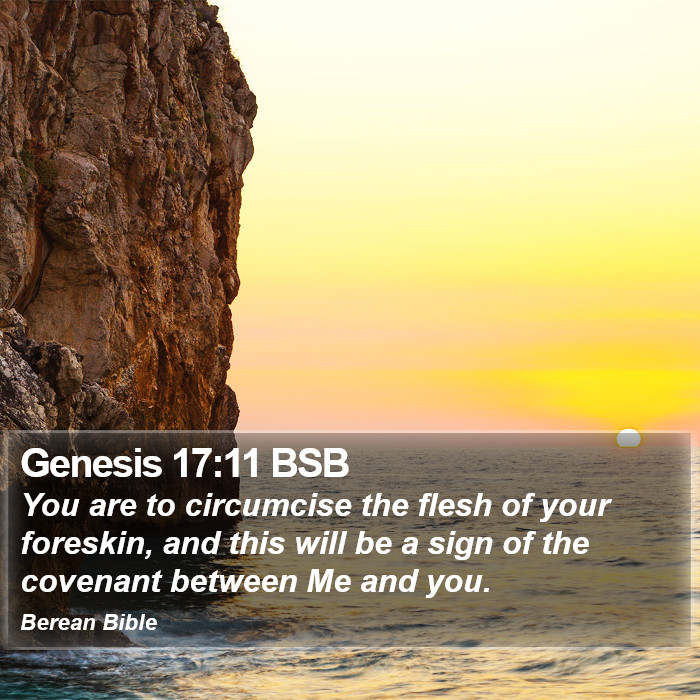 Genesis 17:11 BSB Bible Study