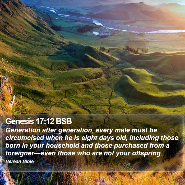 Genesis 17:12 BSB Bible Study