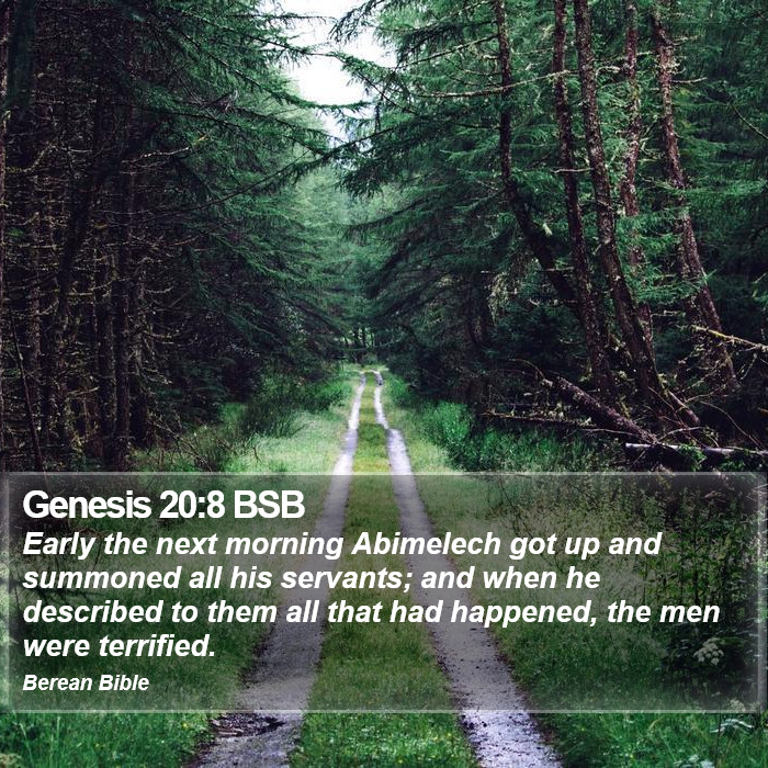 Genesis 20:8 BSB Bible Study