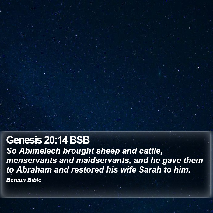 Genesis 20:14 BSB Bible Study