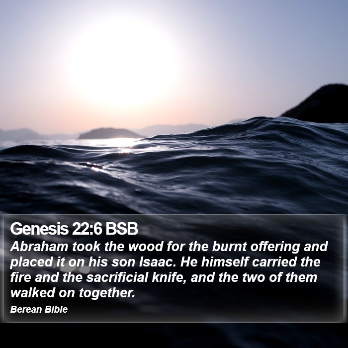 Genesis 22:6 BSB Bible Study