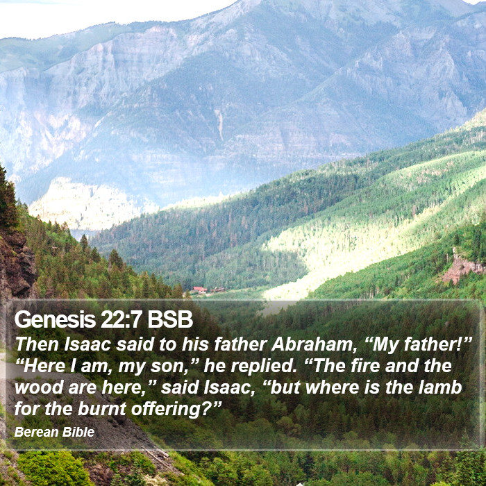 Genesis 22:7 BSB Bible Study