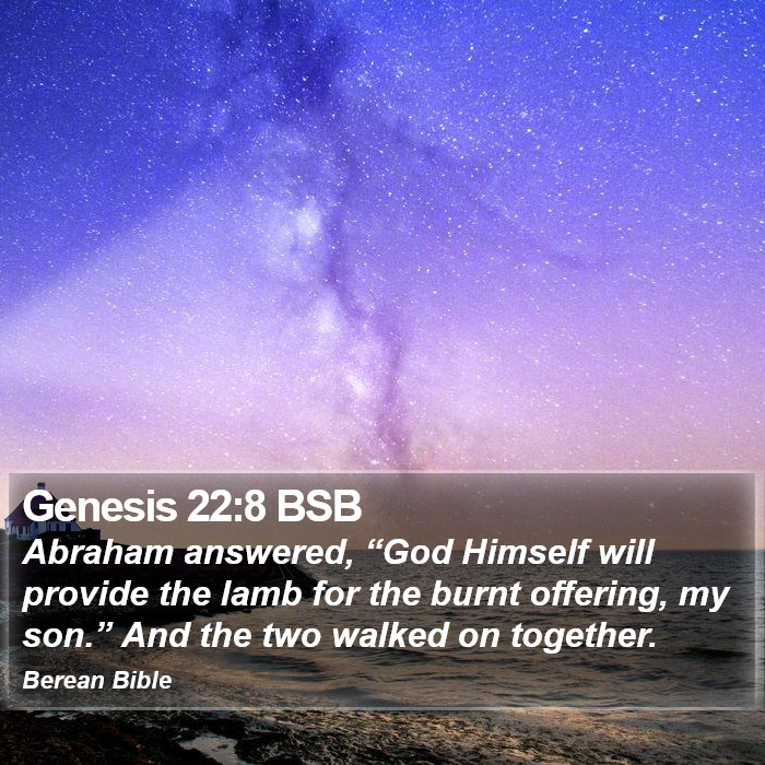 Genesis 22:8 BSB Bible Study