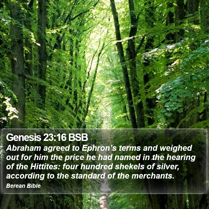 Genesis 23:16 BSB Bible Study