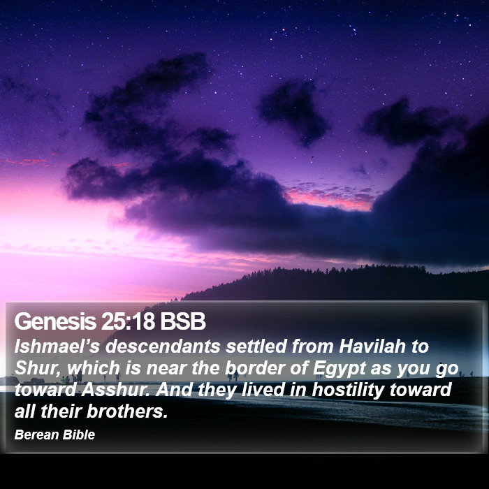 Genesis 25:18 BSB Bible Study