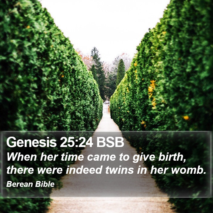 Genesis 25:24 BSB Bible Study