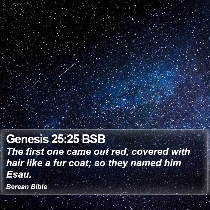 Genesis 25:25 BSB Bible Study